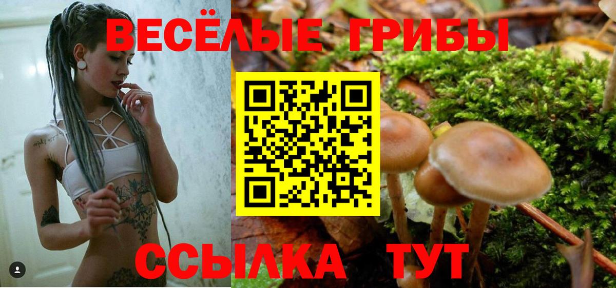 Псилоцибиновые грибы прущие грибы  Галлюциногенные грибы мухоморы  купить наркотики цена  Гусиноозёрск  Вход с VPN 