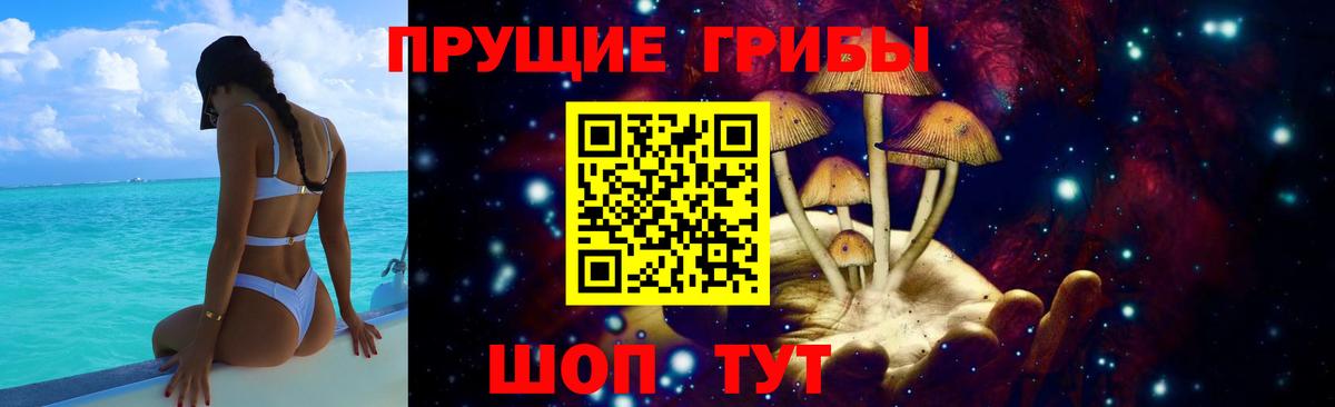Галлюциногенные грибы мицелий Гусиноозёрск